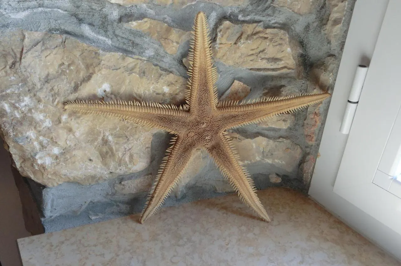 Сasa de vacaciones Villa Diny With Pool Pinezići Croacia